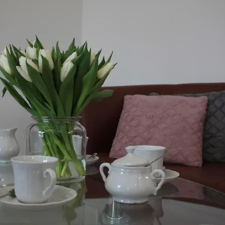 Homestay Diamentowa 7 Rent Konarzewo